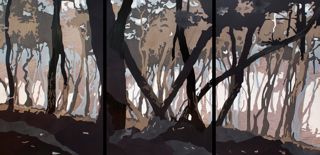 De l'ombre à la lumière